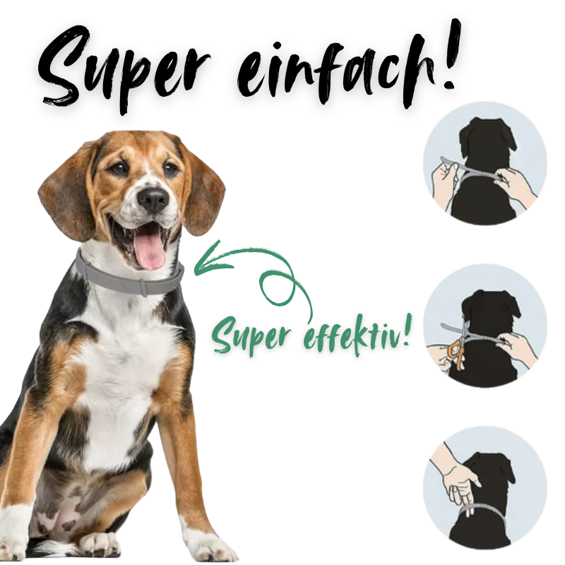 FlauschWerk™ - Zeckenhalsband - "Zeck-Schreck"